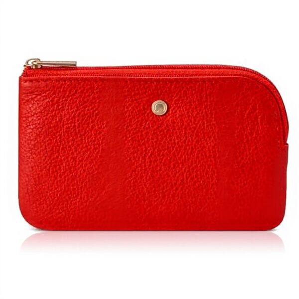 Portefeuille DELSEY cuir taupe adulte unisexe sport